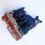 big bear lake california usa fridge magnet travel souvenir refrigerator magnet decoration hand painted craft