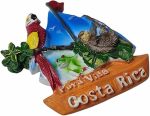 3d costa rica fridge magnet travel souvenir refrigerator decoration magnetic sticker hand painted craft collection