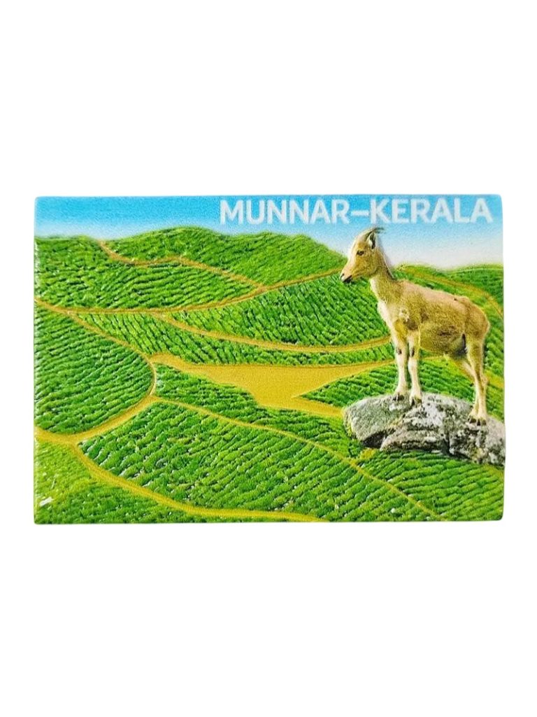 munnar kerala india fridge magnet – tea plantation travel souvenir with wildlife view (1)