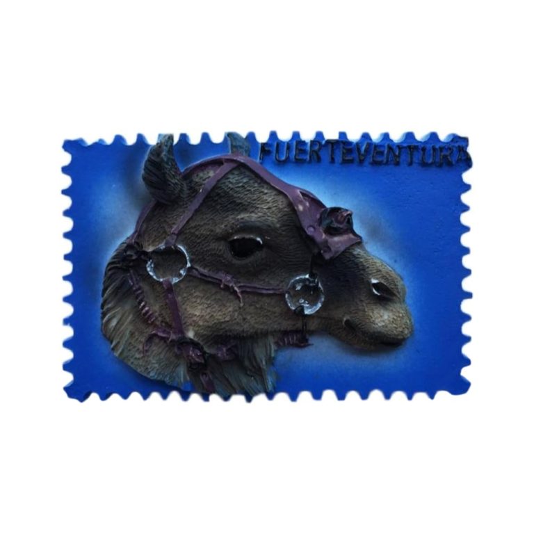 camel head stamp design fuerteventura spain fridge magnet exotic adventure souvenir & cool gift idea