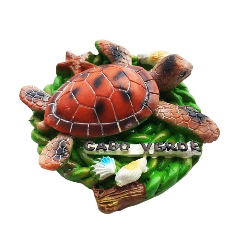 green turtle cabo verde fridge magnets island souvenir & memo board accent