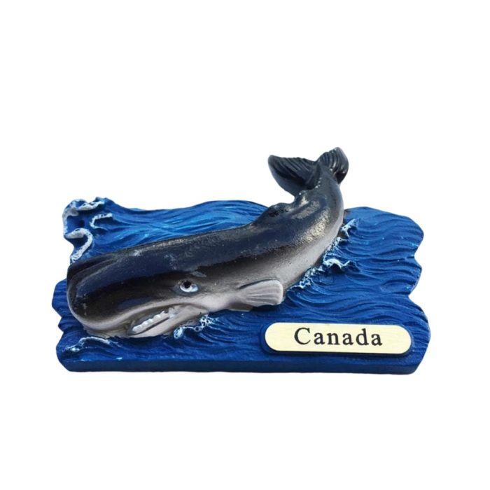 canada whale fridge magnet – ocean adventure travel souvenir gift & nature inspired whiteboard decoration