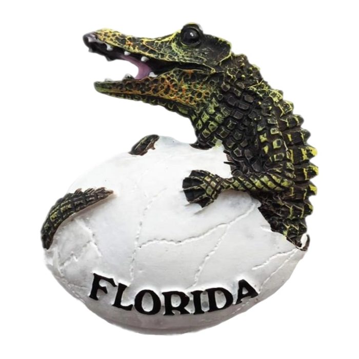 florida alligator egg fridge magnet wildlife souvenir & nature décor