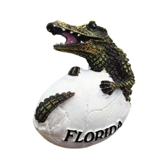 florida alligator egg fridge magnet wildlife souvenir & nature décor
