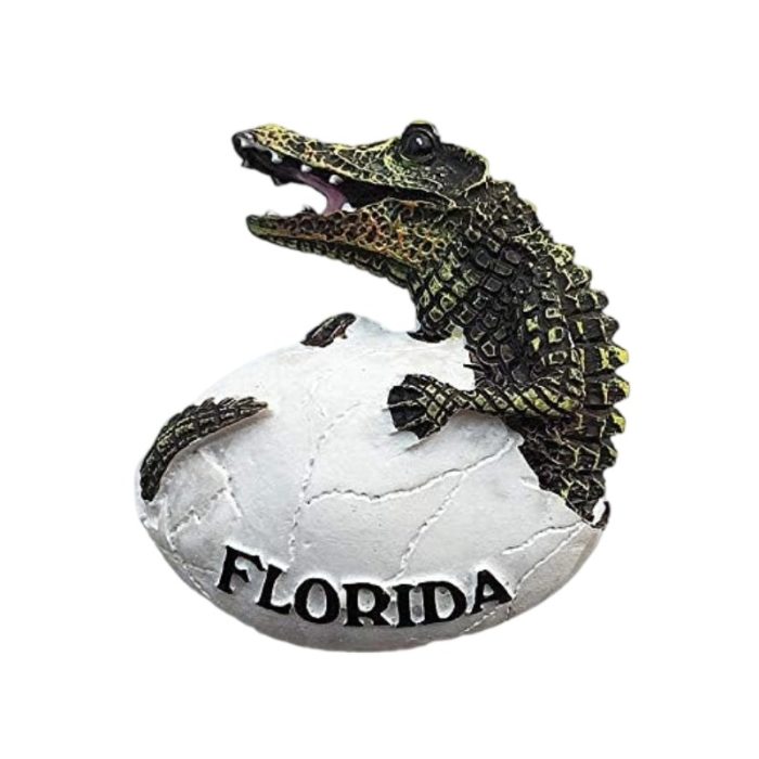 florida alligator egg fridge magnet wildlife souvenir & nature décor