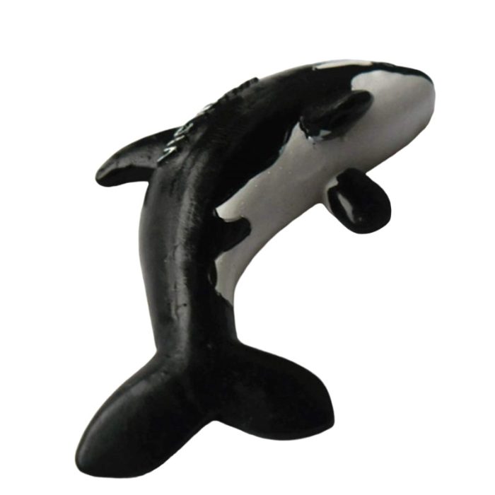 victoria orca whale fridge magnet – marine life travel souvenir gift from canada & whiteboard charm