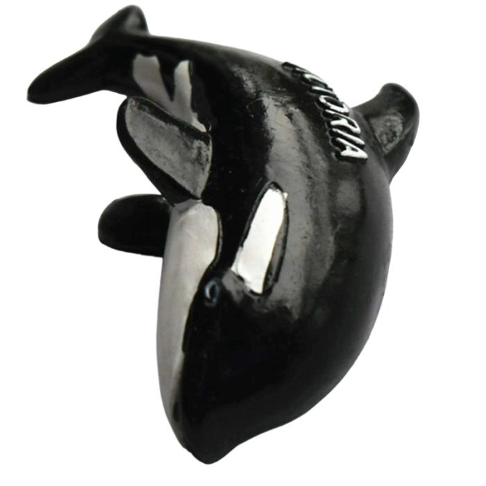 victoria orca whale fridge magnet – marine life travel souvenir gift from canada & whiteboard charm