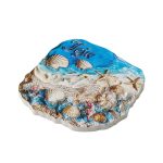 jeju fridge magnet south korea souvenir gift & beach décor