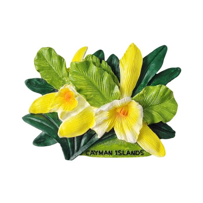 cayman islands orchid fridge magnet tropical floral souvenir & caribbean gift