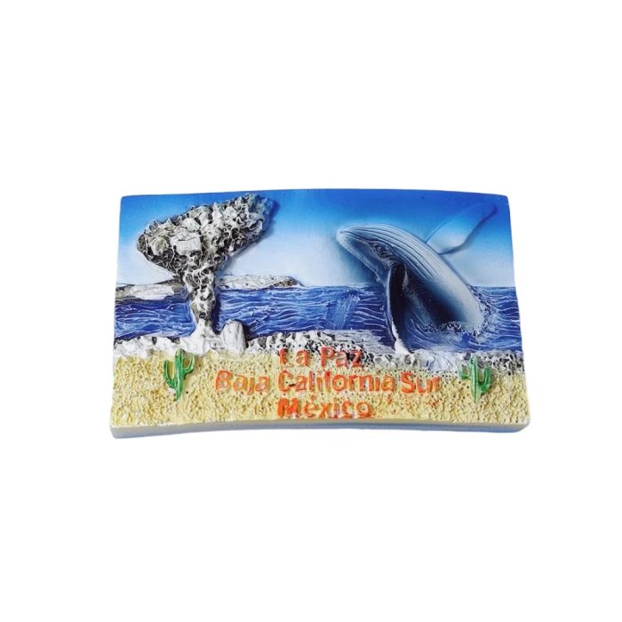 la paz whale fridge magnets baja california sur mexico marine life & desert cactus decor
