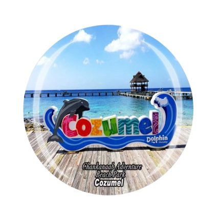 cozumel dolphin fridge magnet chankanaab park marine life mexico gift & tropical beach decor