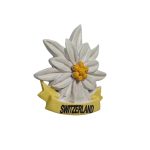 switzerland edelweiss flower fridge magnet – cute alpine souvenir gift for nature inspired kitchen decor