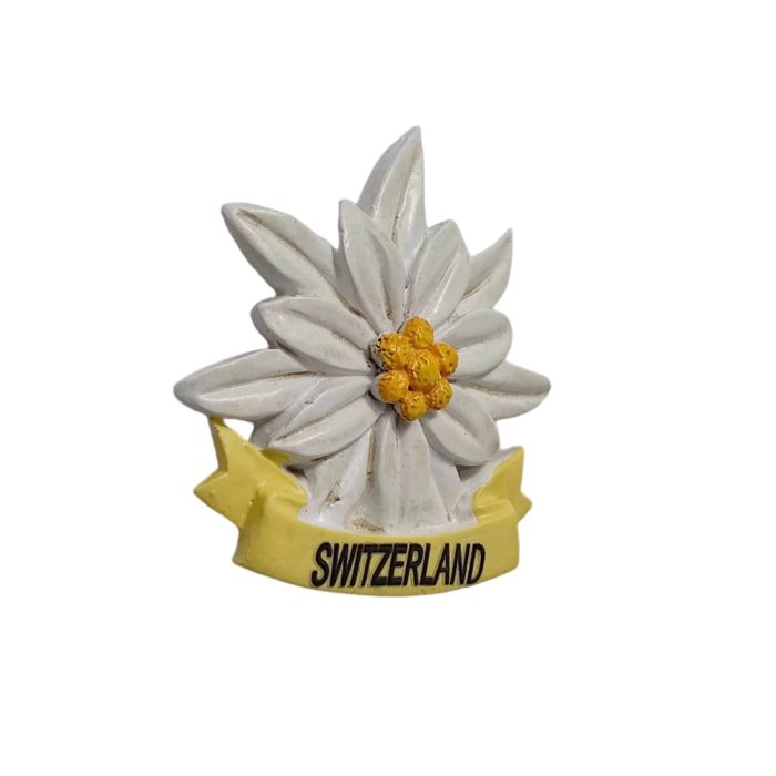 switzerland edelweiss flower fridge magnet – cute alpine souvenir gift for nature inspired kitchen decor