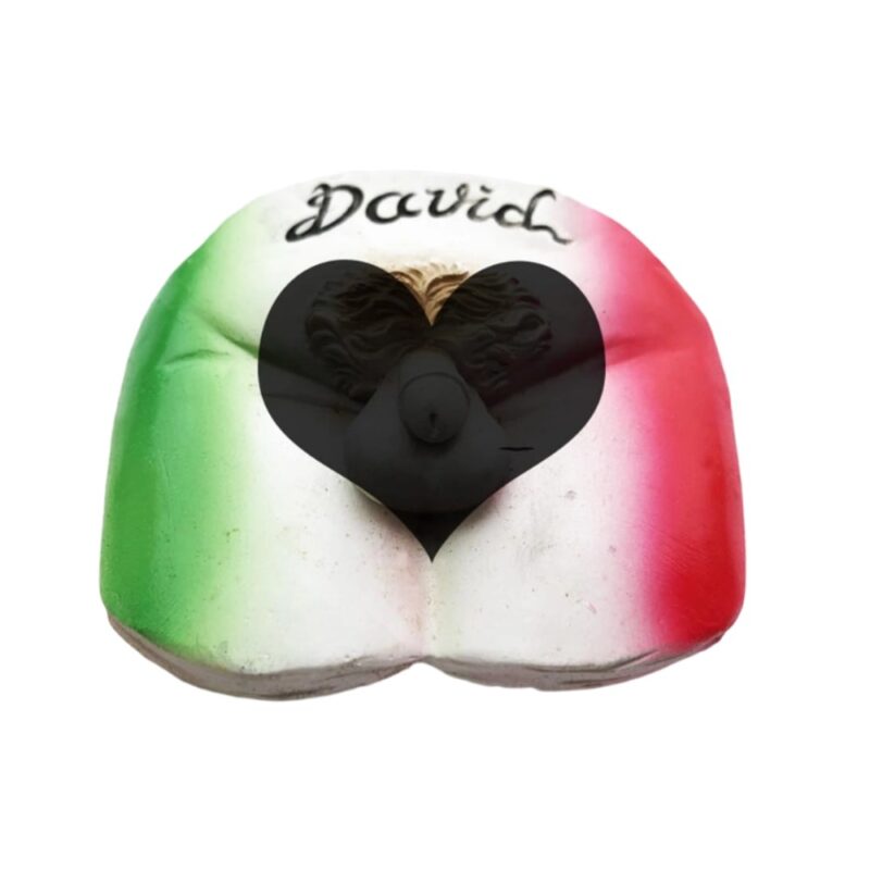 italy david butt fridge magnet – tricolor cheeky design with sculpted hair – funny travel souvenir & humorous whiteboard magnet
