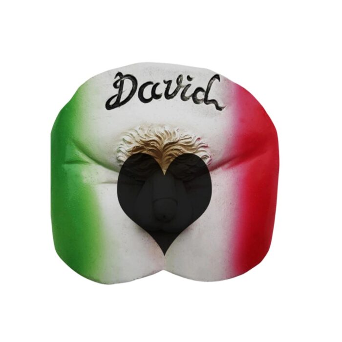 italy david butt fridge magnet – tricolor cheeky design with sculpted hair – funny travel souvenir & humorous whiteboard magnet