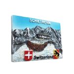 schilthorn switzerland fridge magnet – alpine mountain peak scene souvenir for world travelers & collectors