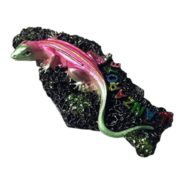 lanzarote lizard spain fridge magnet unique island souvenir & black lava art decor