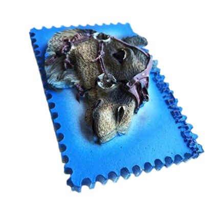 fuerteventura spain fridge magnet camel postcard design tourist gift & decorative magnet