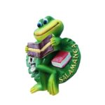 salamanca spain reading frog fridge magnet – unique souvenir for book lovers & spain whiteboard fun