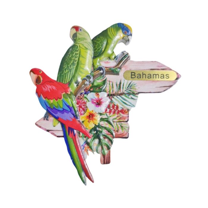 bahamas fridge magnet – caribbean parrot souvenir & island mood fridge decor