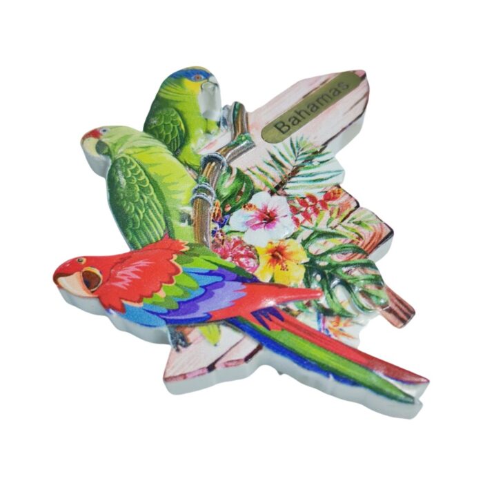bahamas fridge magnet – caribbean parrot souvenir & island mood fridge decor