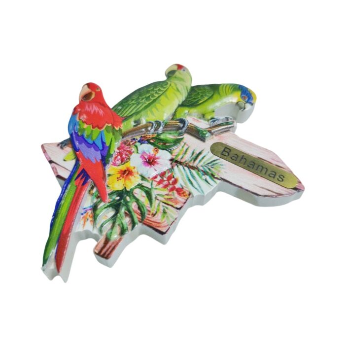 bahamas fridge magnet – caribbean parrot souvenir & island mood fridge decor
