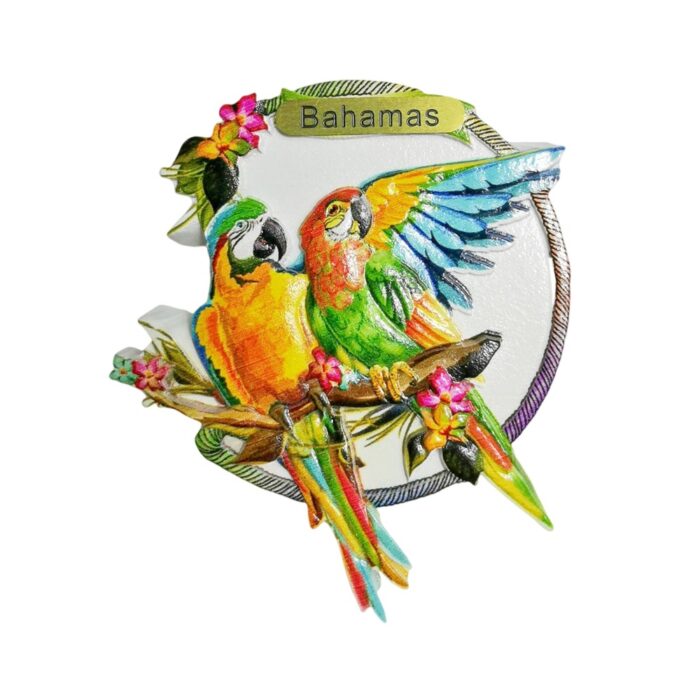 bahamas parrot fridge magnet – vacation vibe keepsake & island wall decoration