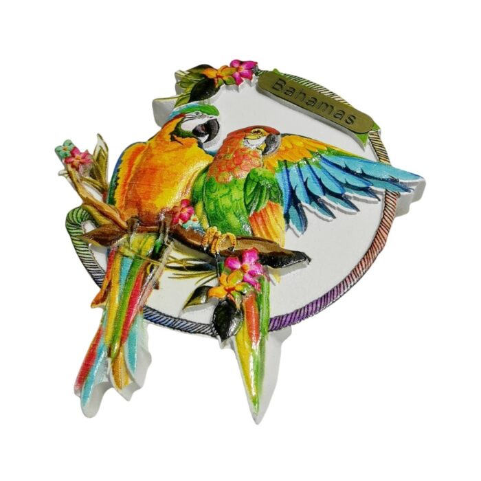 bahamas parrot fridge magnet – vacation vibe keepsake & island wall decoration