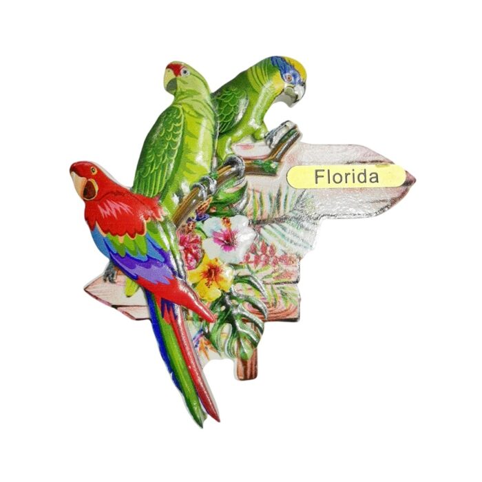 florida usa fridge magnet – parrot paradise souvenir & bright kitchen accent