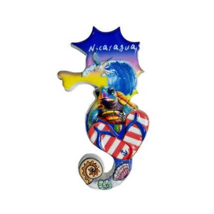 nicaragua surf style fridge magnet central america travel memento & coastal fridge accent