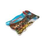 lanzarote spain fridge magnet camel safari & tropical parrot scene travel gift for magnetic boards