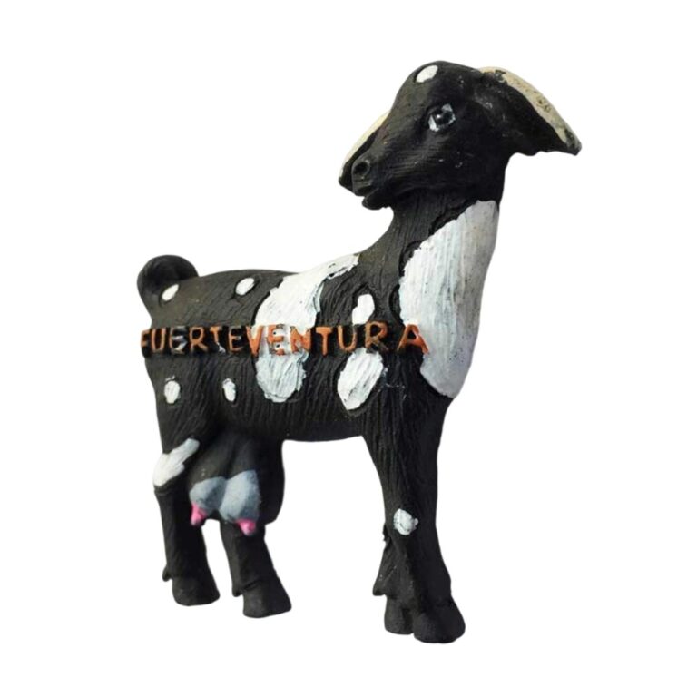 fuerteventura spain fridge magnet black goat island keepsake for collectors & memo board display