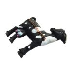 fuerteventura spain fridge magnet black goat island keepsake for collectors & memo board display