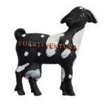 fuerteventura spain fridge magnet black goat island keepsake for collectors & memo board display