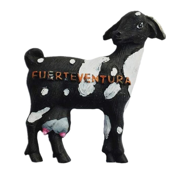 fuerteventura spain fridge magnet black goat island keepsake for collectors & memo board display