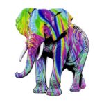 botswana colorful elephant fridge magnet african wildlife travel souvenir & safari vibes decor