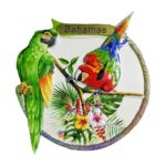 bahamas parrot tropical fridge magnet – colorful island travel souvenir & exotic whiteboard decor