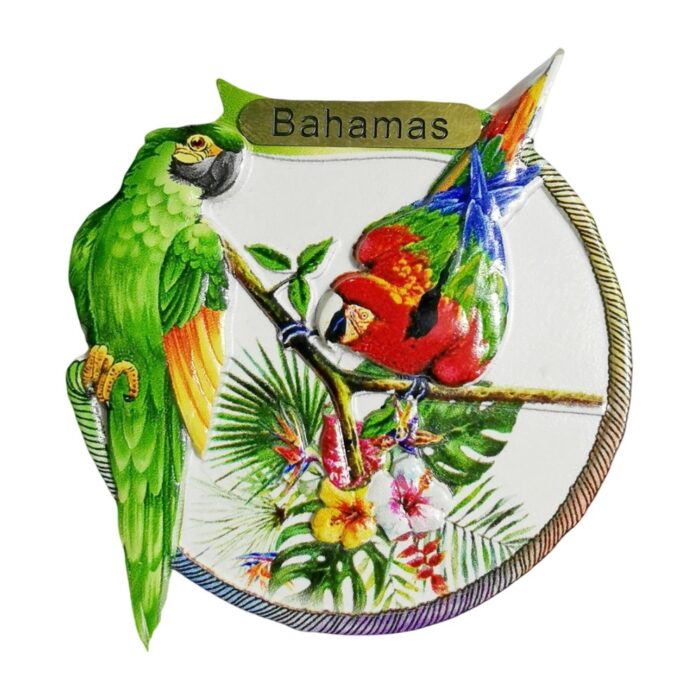 bahamas parrot tropical fridge magnet – colorful island travel souvenir & exotic whiteboard decor