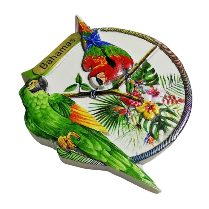 bahamas parrot tropical fridge magnet – colorful island travel souvenir & exotic whiteboard decor