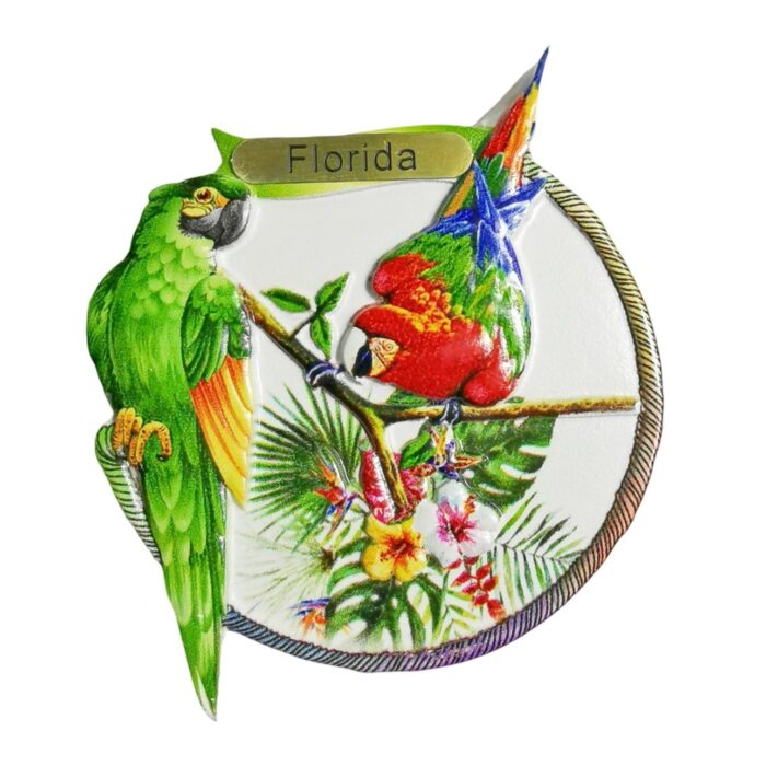 florida parrot tropical fridge magnet – colorful bird souvenir gift & vibrant whiteboard decor from usa