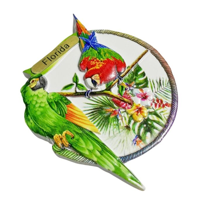 florida parrot tropical fridge magnet – colorful bird souvenir gift & vibrant whiteboard decor from usa