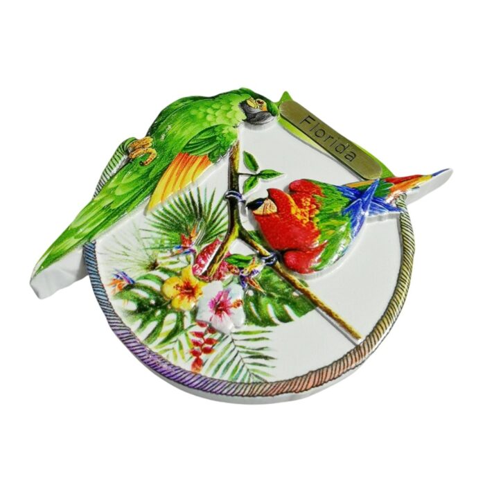 florida parrot tropical fridge magnet – colorful bird souvenir gift & vibrant whiteboard decor from usa