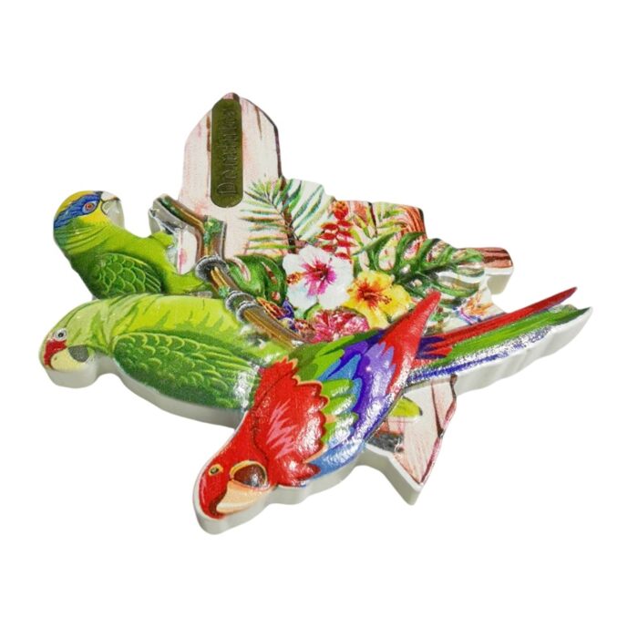 dominica parrots signpost fridge magnet – caribbean island souvenir gift & nature inspired whiteboard decor