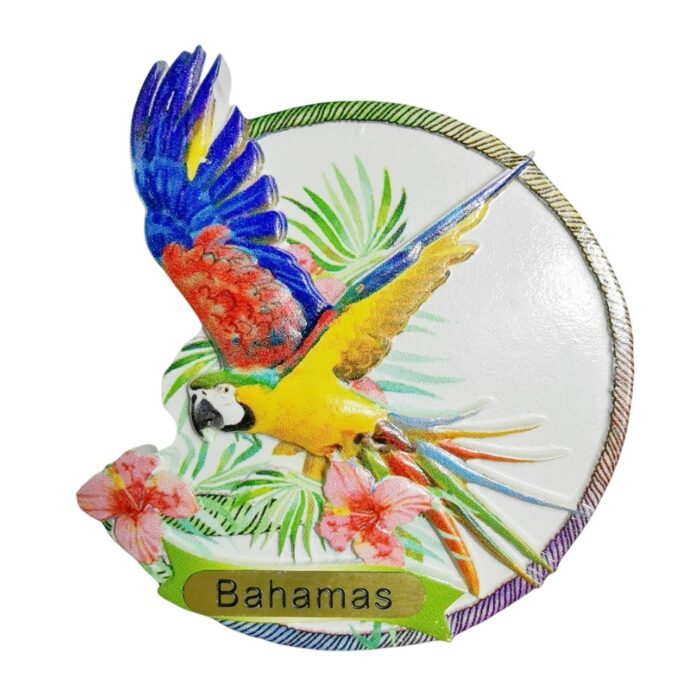 bahamas macaw circle fridge magnet – island souvenir gift & exotic bird whiteboard decoration
