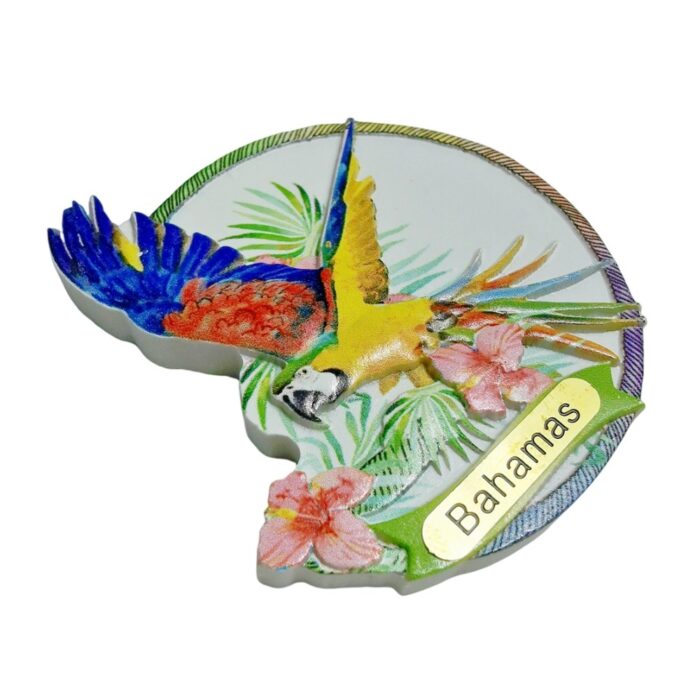 bahamas macaw circle fridge magnet – island souvenir gift & exotic bird whiteboard decoration